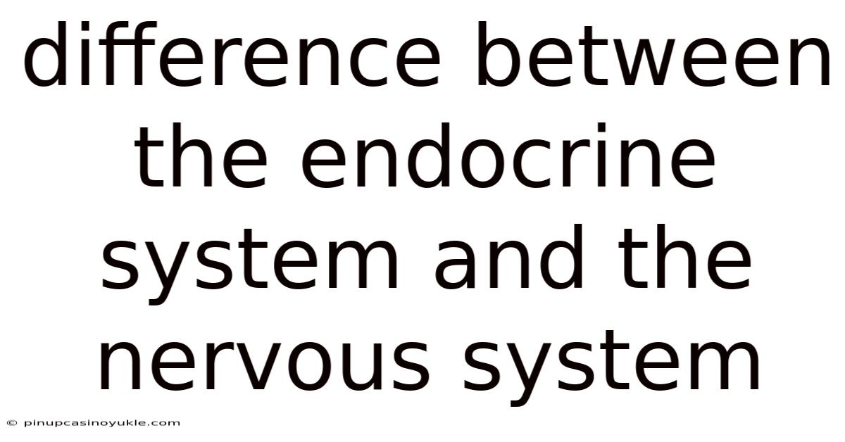 Difference Between The Endocrine System And The Nervous System