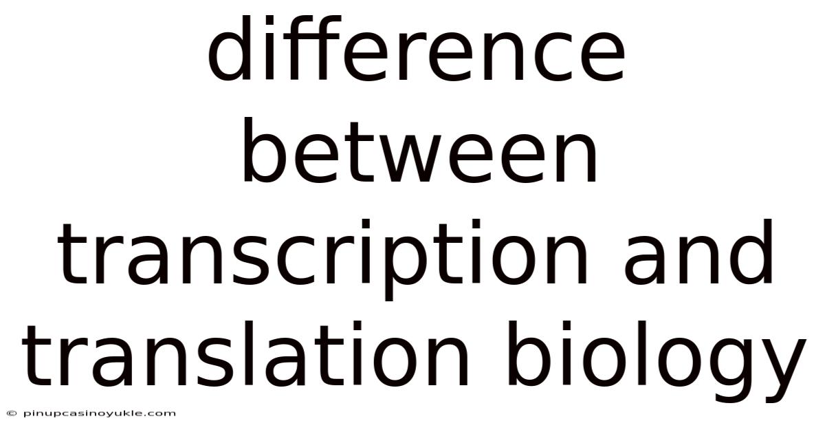Difference Between Transcription And Translation Biology