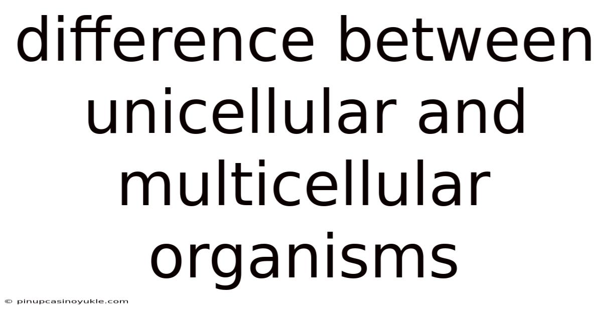 Difference Between Unicellular And Multicellular Organisms