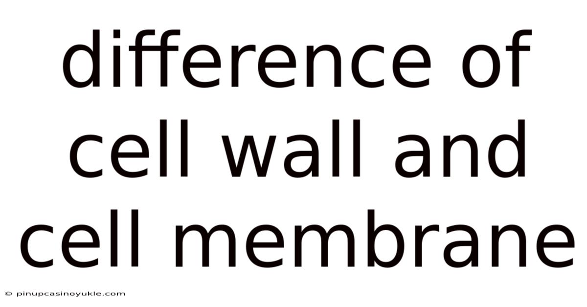Difference Of Cell Wall And Cell Membrane