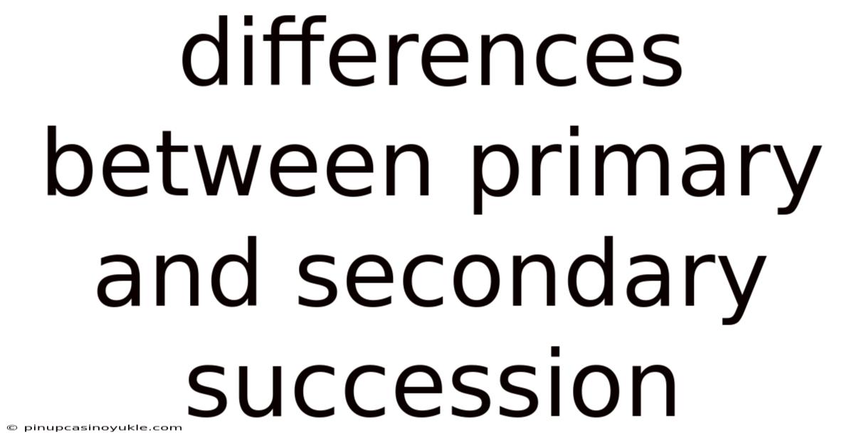 Differences Between Primary And Secondary Succession