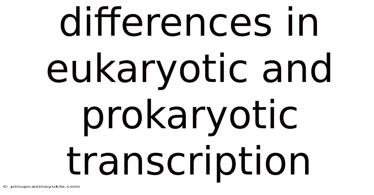 Differences In Eukaryotic And Prokaryotic Transcription