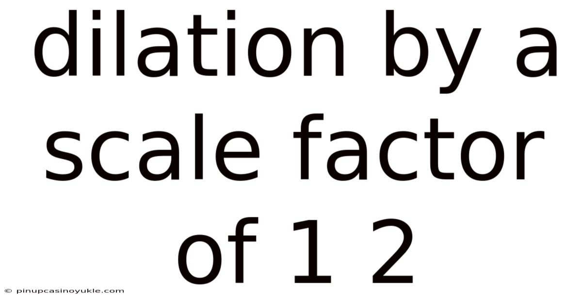 Dilation By A Scale Factor Of 1 2