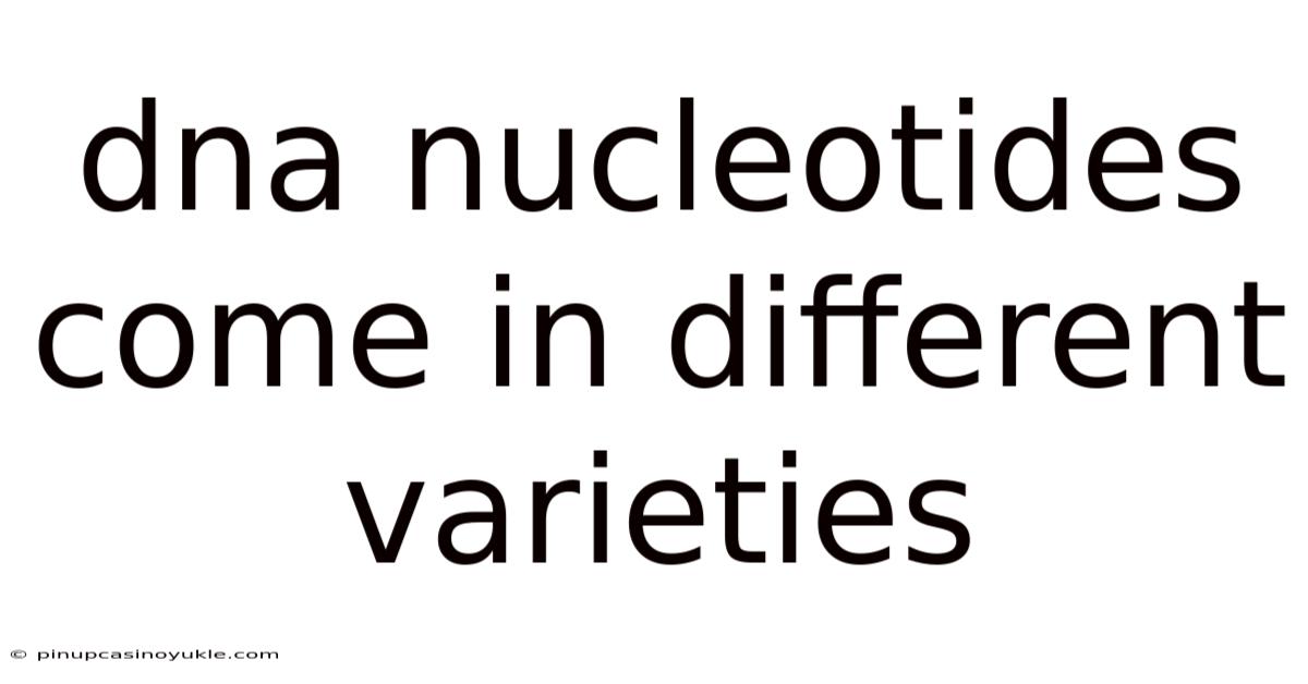 Dna Nucleotides Come In Different Varieties