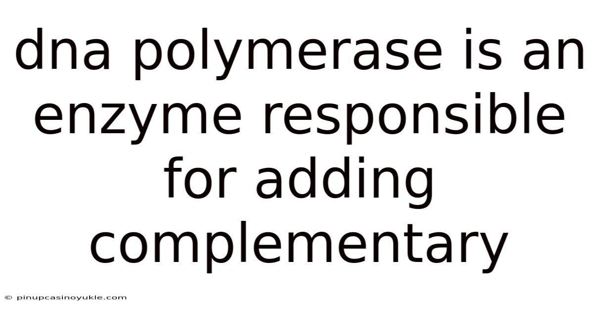 Dna Polymerase Is An Enzyme Responsible For Adding Complementary