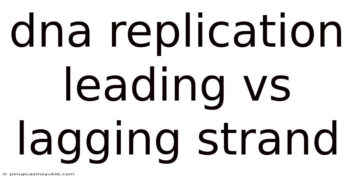 Dna Replication Leading Vs Lagging Strand