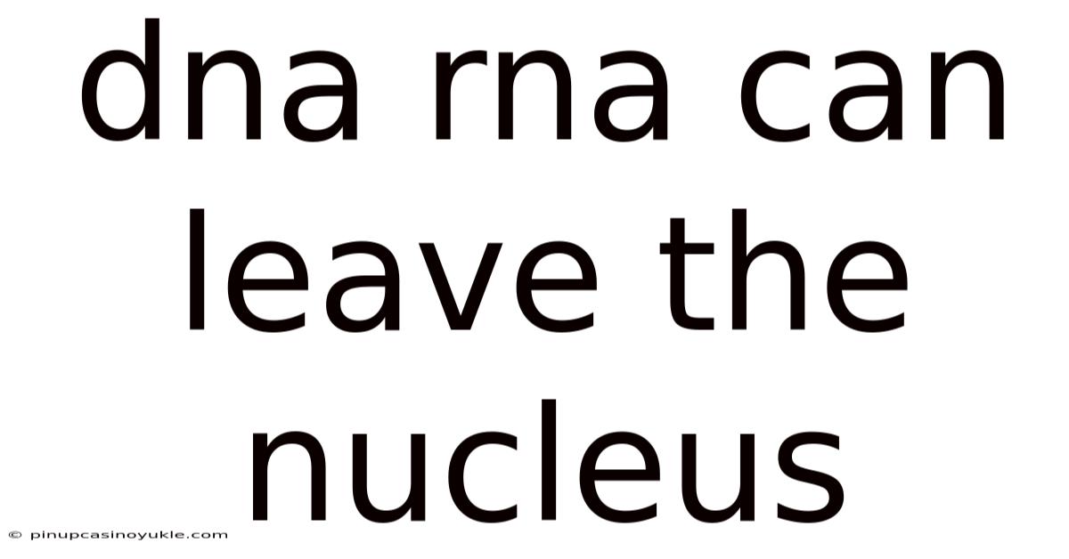 Dna Rna Can Leave The Nucleus