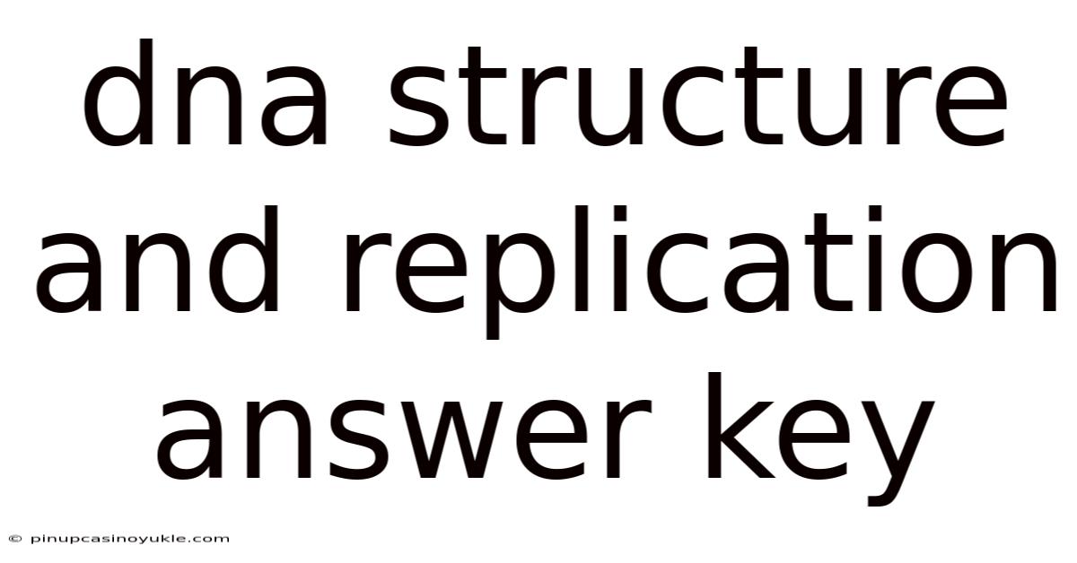 Dna Structure And Replication Answer Key