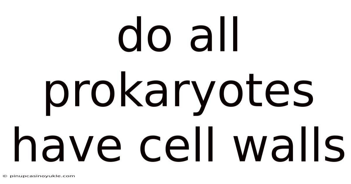 Do All Prokaryotes Have Cell Walls
