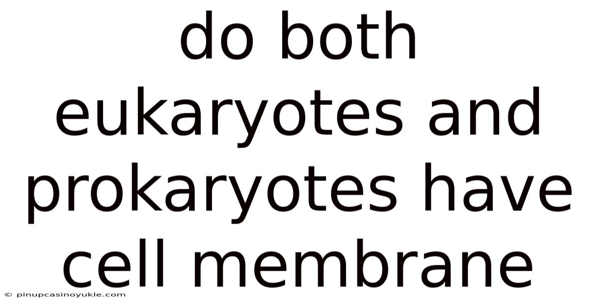 Do Both Eukaryotes And Prokaryotes Have Cell Membrane