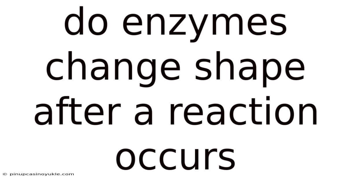 Do Enzymes Change Shape After A Reaction Occurs