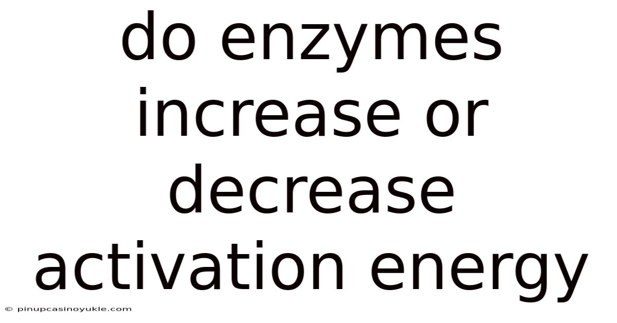 Do Enzymes Increase Or Decrease Activation Energy