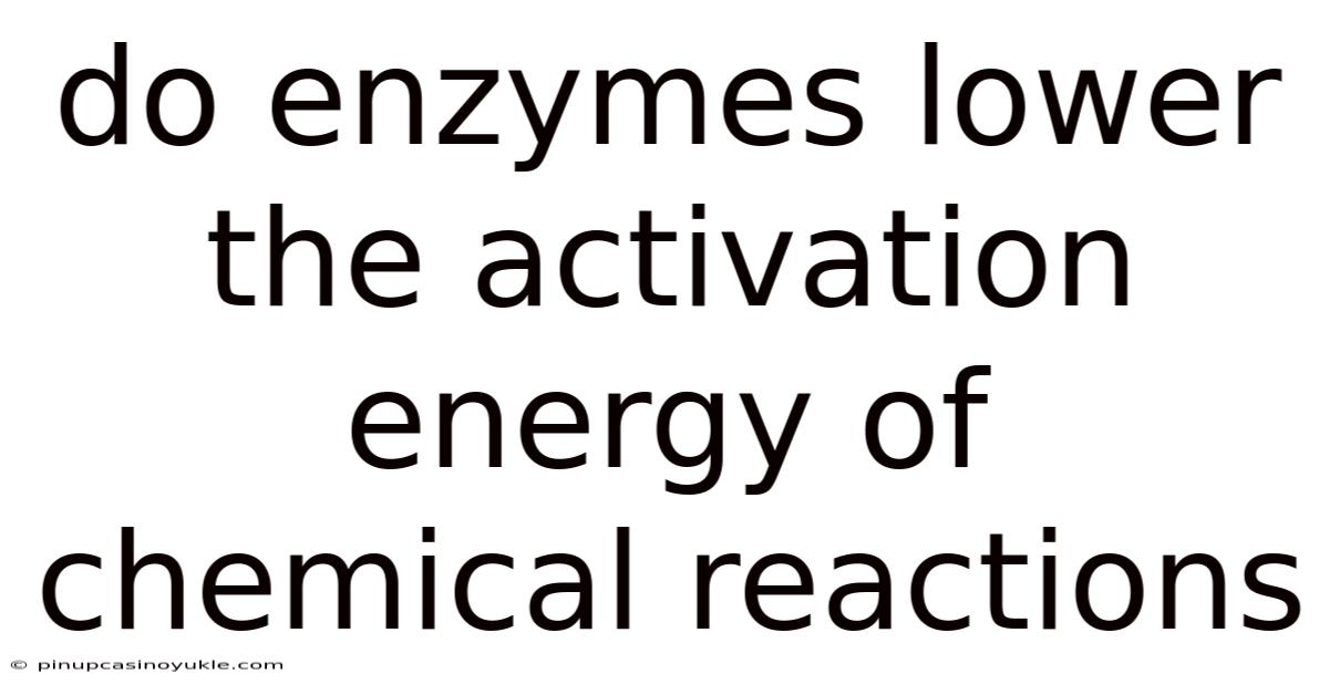 Do Enzymes Lower The Activation Energy Of Chemical Reactions