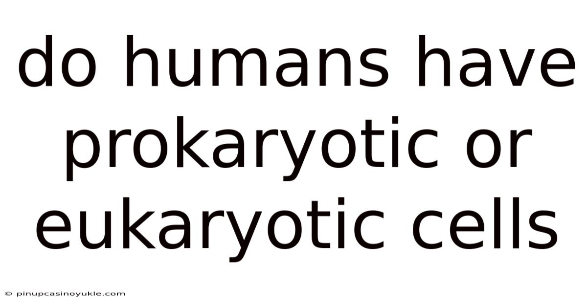 Do Humans Have Prokaryotic Or Eukaryotic Cells
