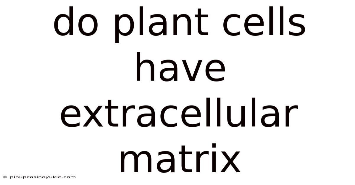 Do Plant Cells Have Extracellular Matrix
