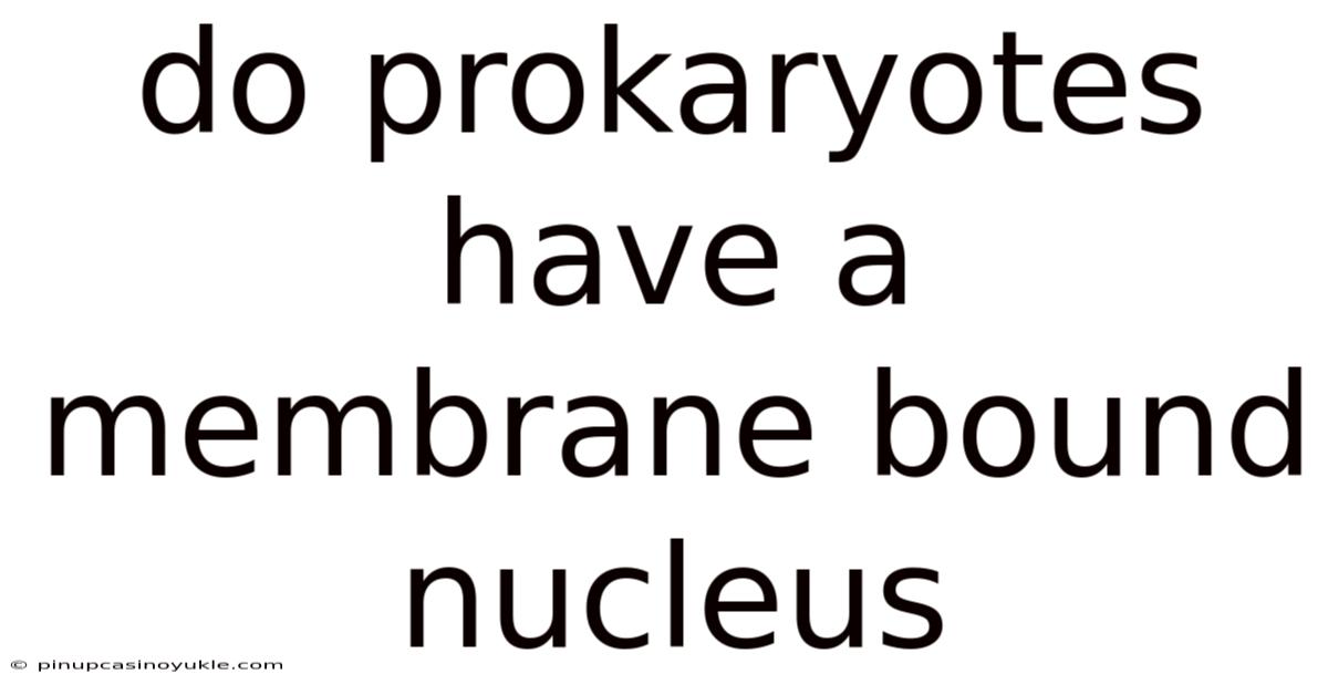 Do Prokaryotes Have A Membrane Bound Nucleus
