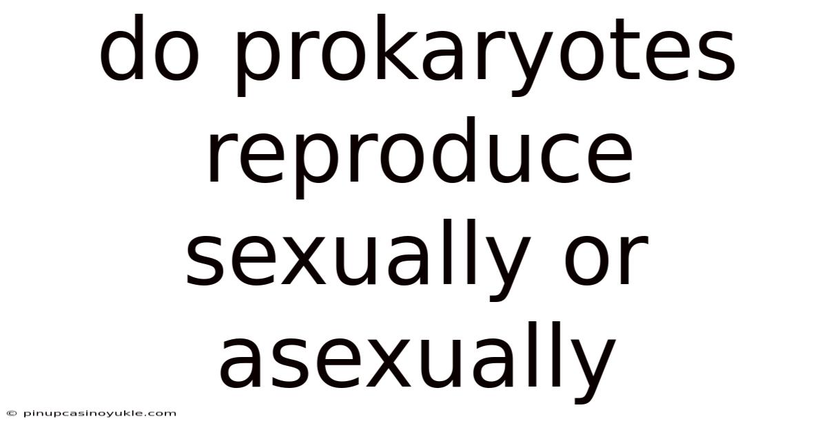 Do Prokaryotes Reproduce Sexually Or Asexually
