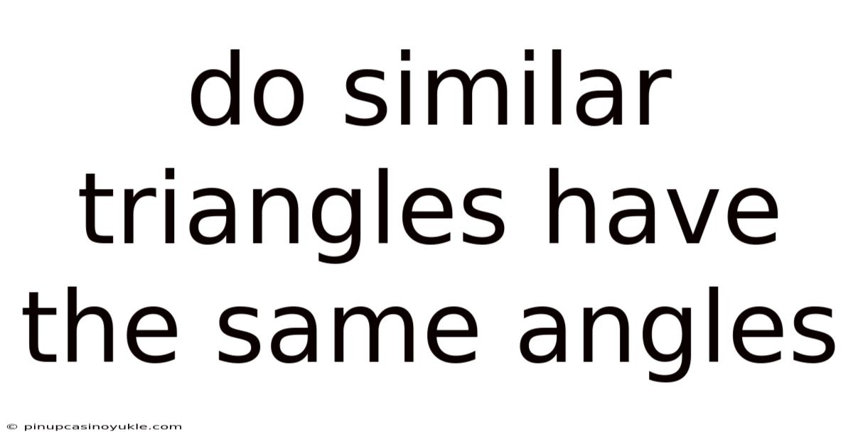 Do Similar Triangles Have The Same Angles