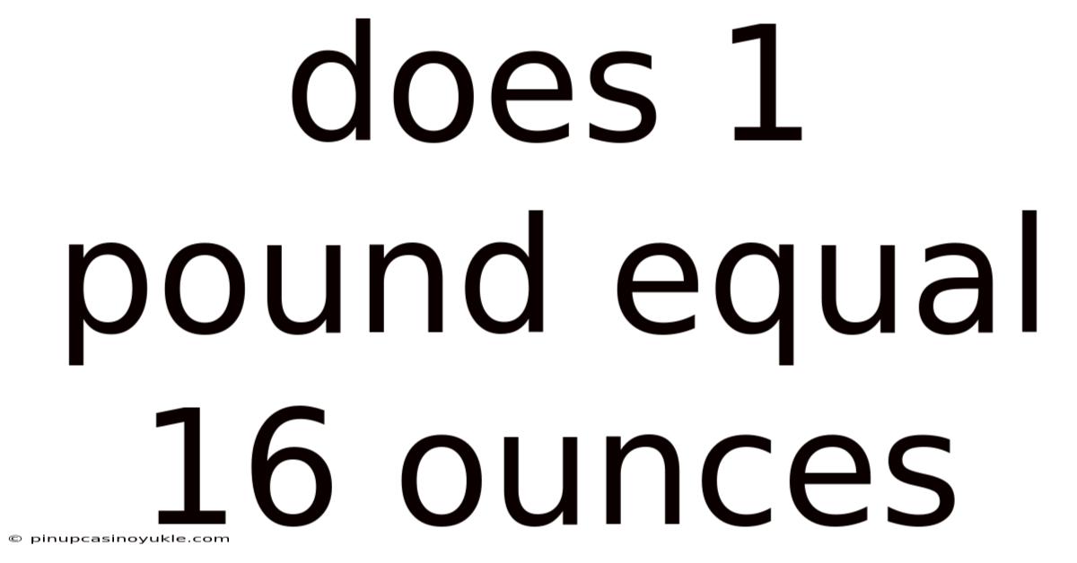 Does 1 Pound Equal 16 Ounces