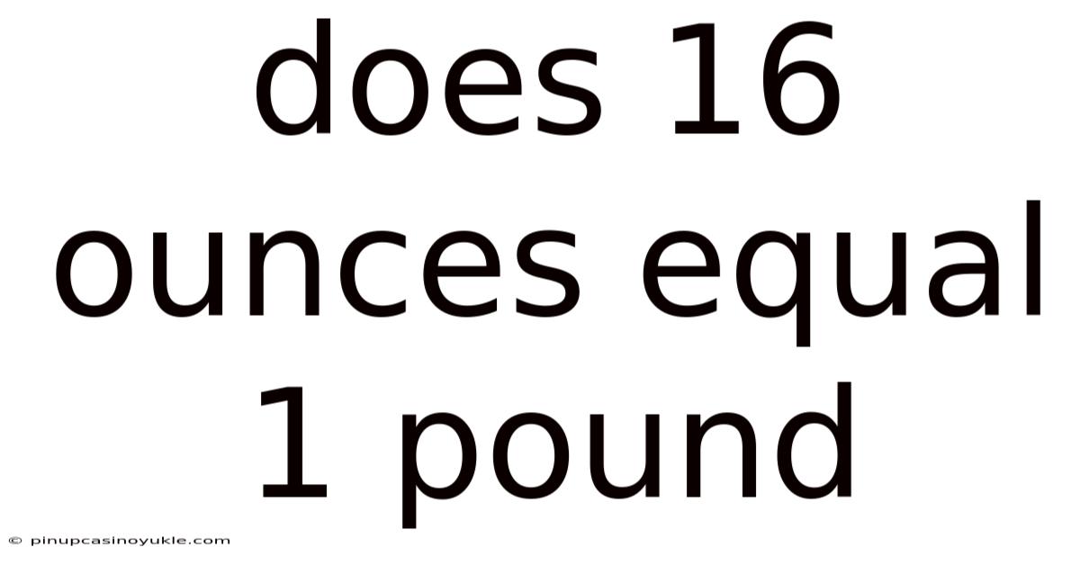 Does 16 Ounces Equal 1 Pound