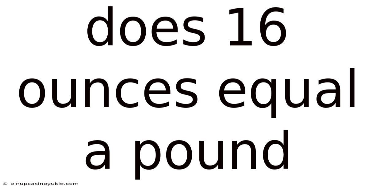 Does 16 Ounces Equal A Pound