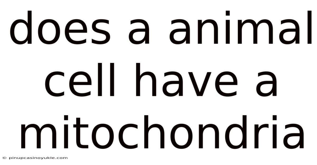 Does A Animal Cell Have A Mitochondria