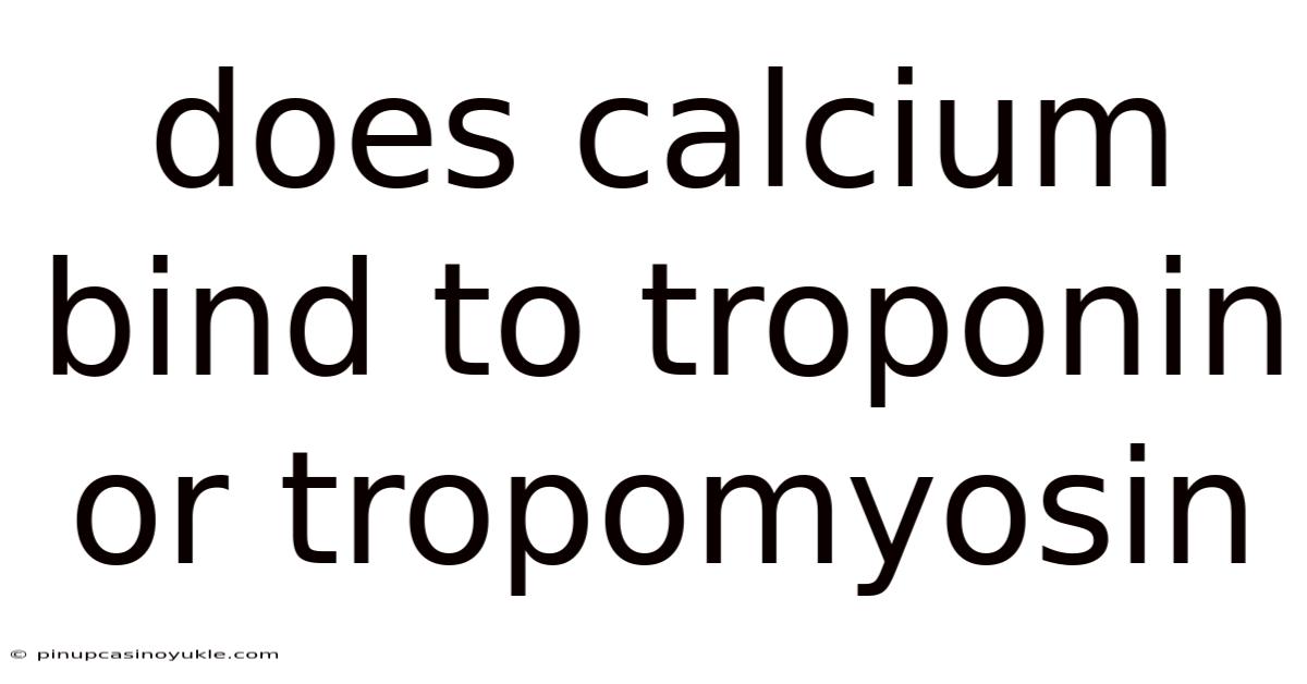 Does Calcium Bind To Troponin Or Tropomyosin