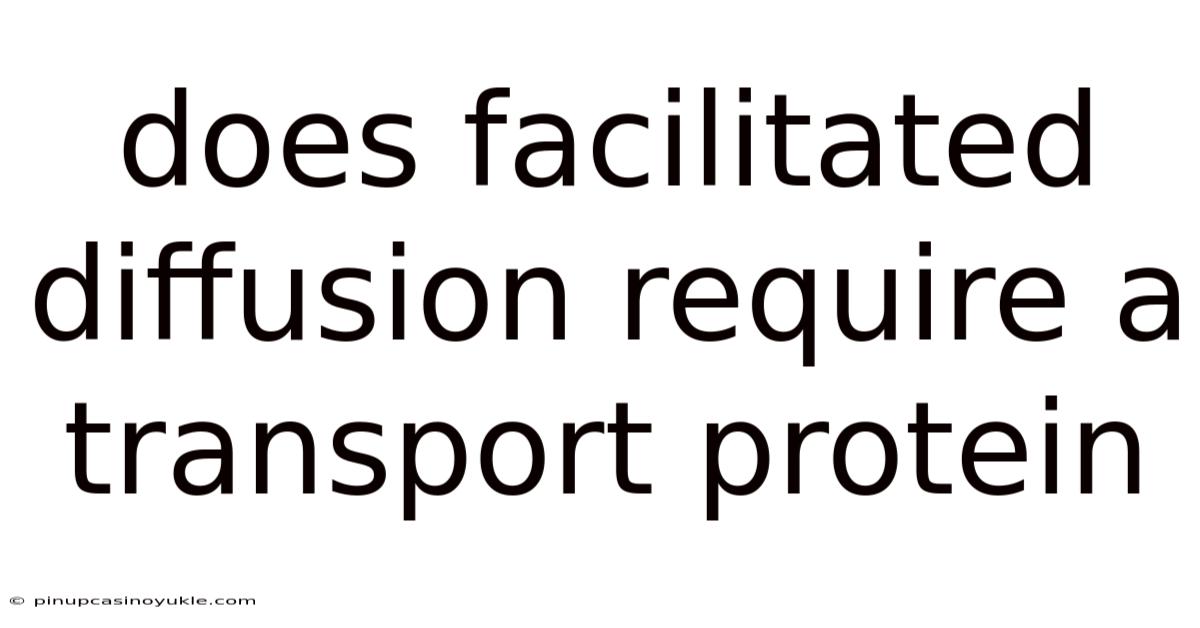 Does Facilitated Diffusion Require A Transport Protein