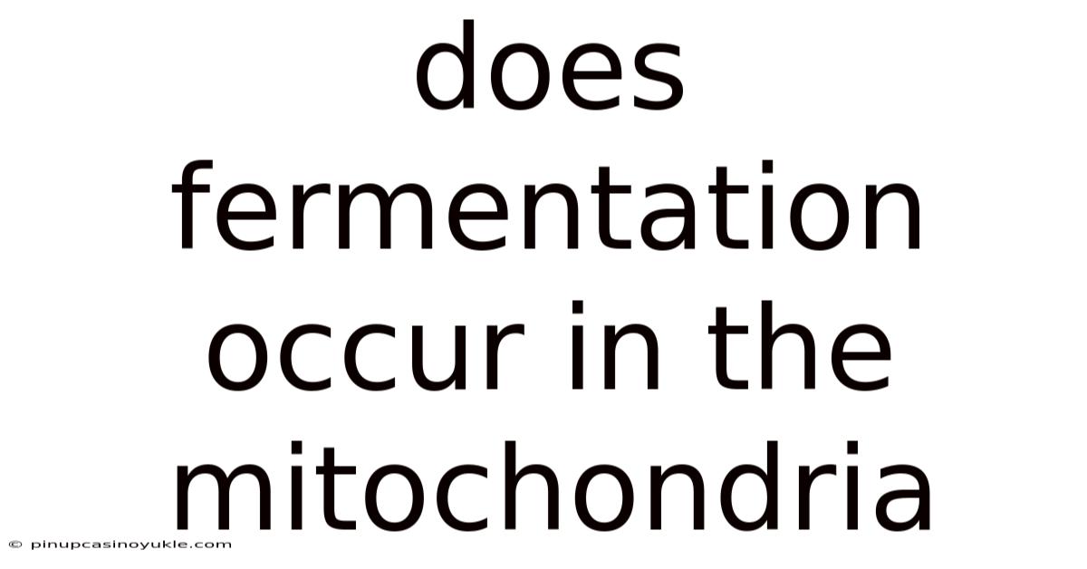 Does Fermentation Occur In The Mitochondria