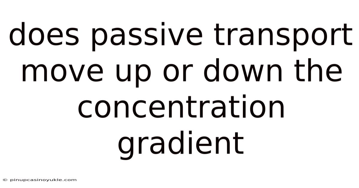 Does Passive Transport Move Up Or Down The Concentration Gradient