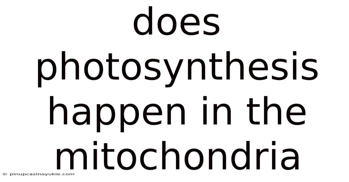 Does Photosynthesis Happen In The Mitochondria