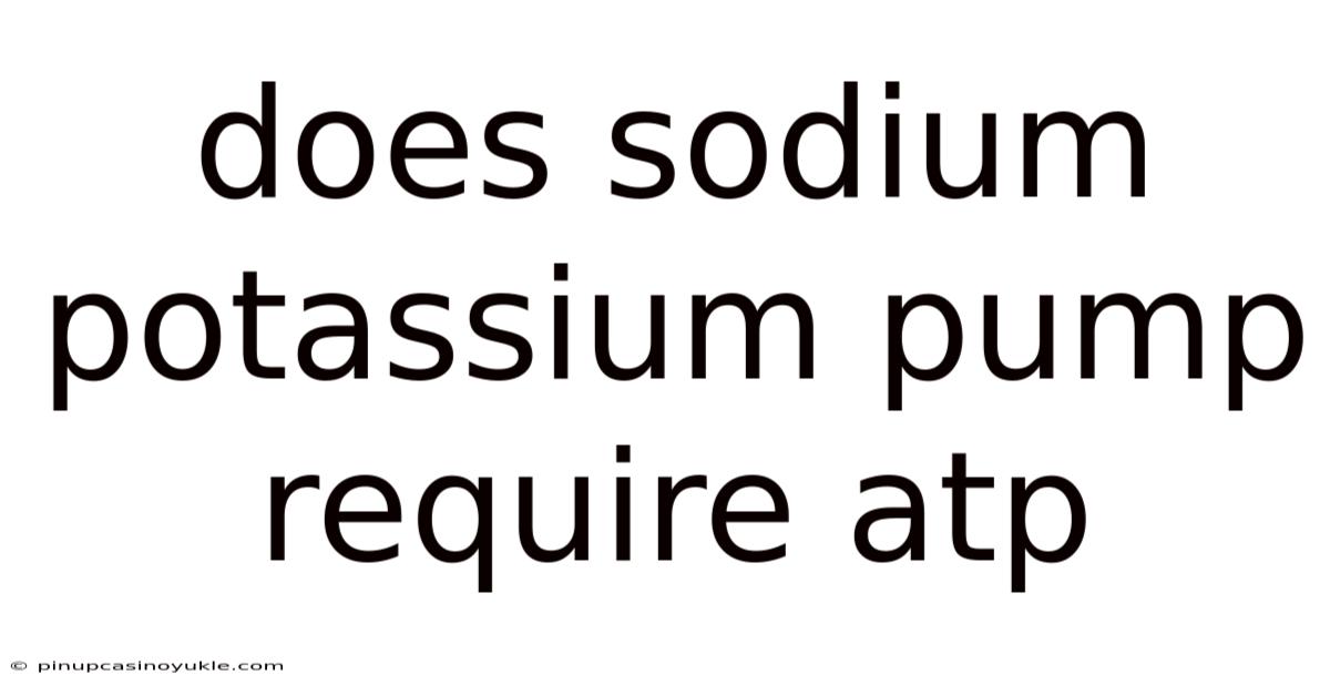 Does Sodium Potassium Pump Require Atp
