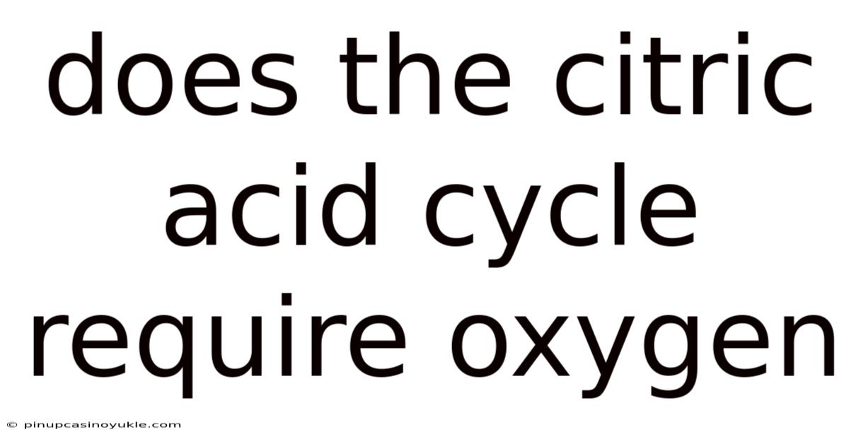 Does The Citric Acid Cycle Require Oxygen