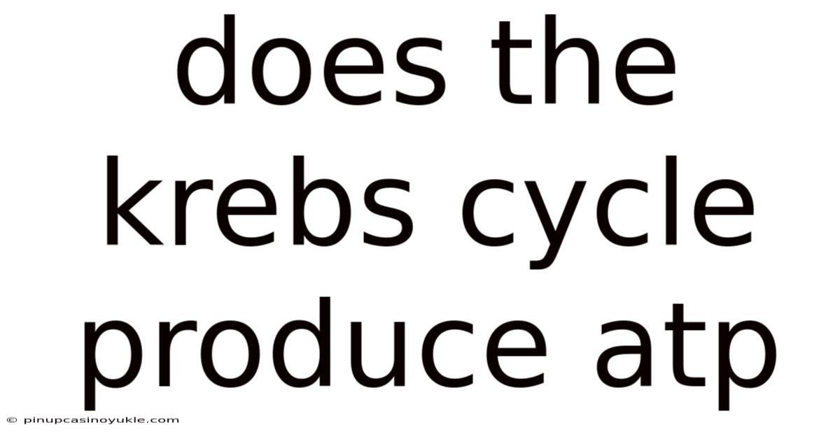 Does The Krebs Cycle Produce Atp