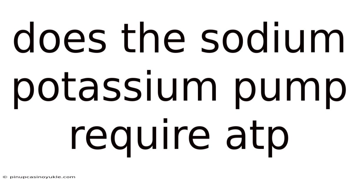 Does The Sodium Potassium Pump Require Atp