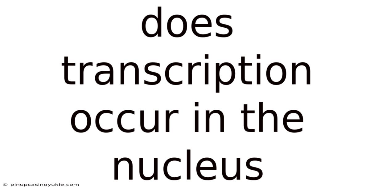 Does Transcription Occur In The Nucleus