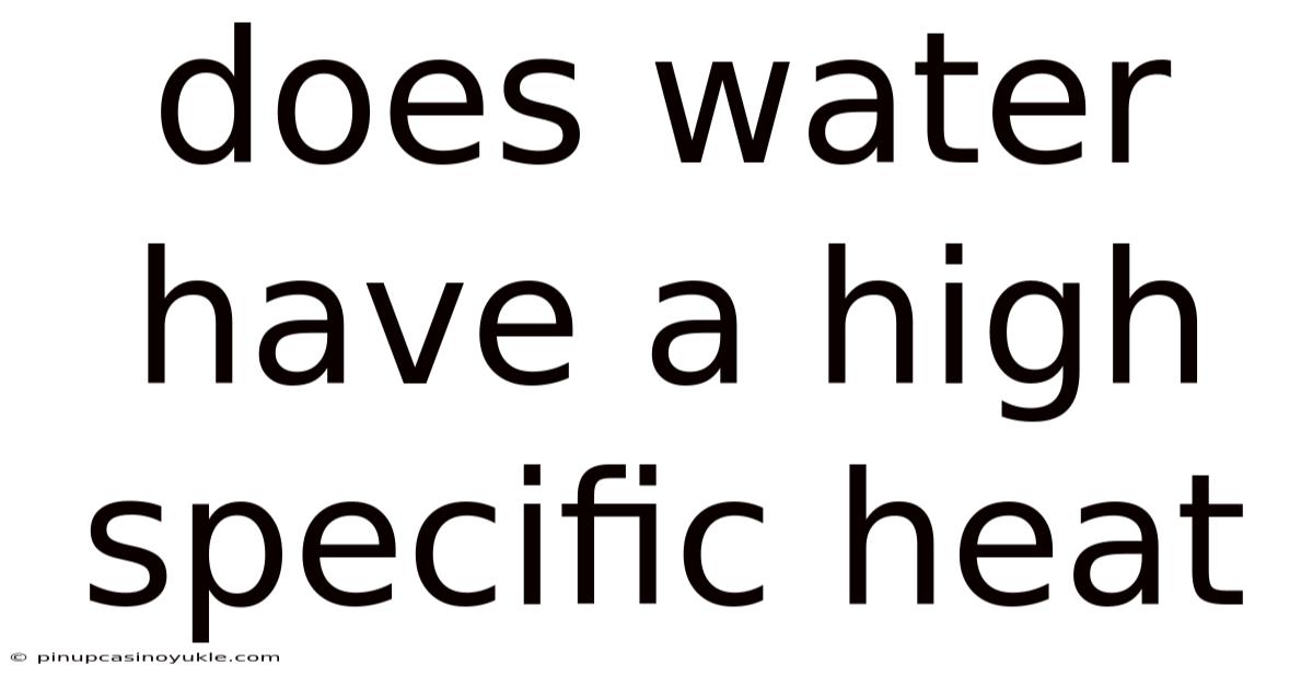 Does Water Have A High Specific Heat