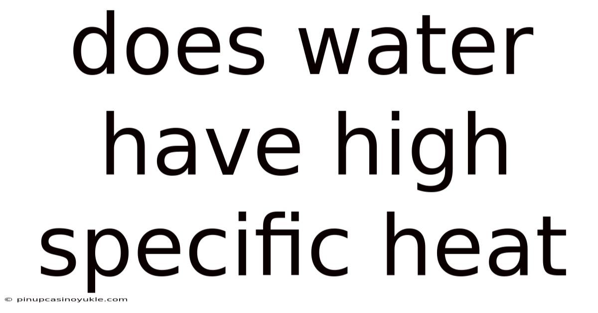 Does Water Have High Specific Heat