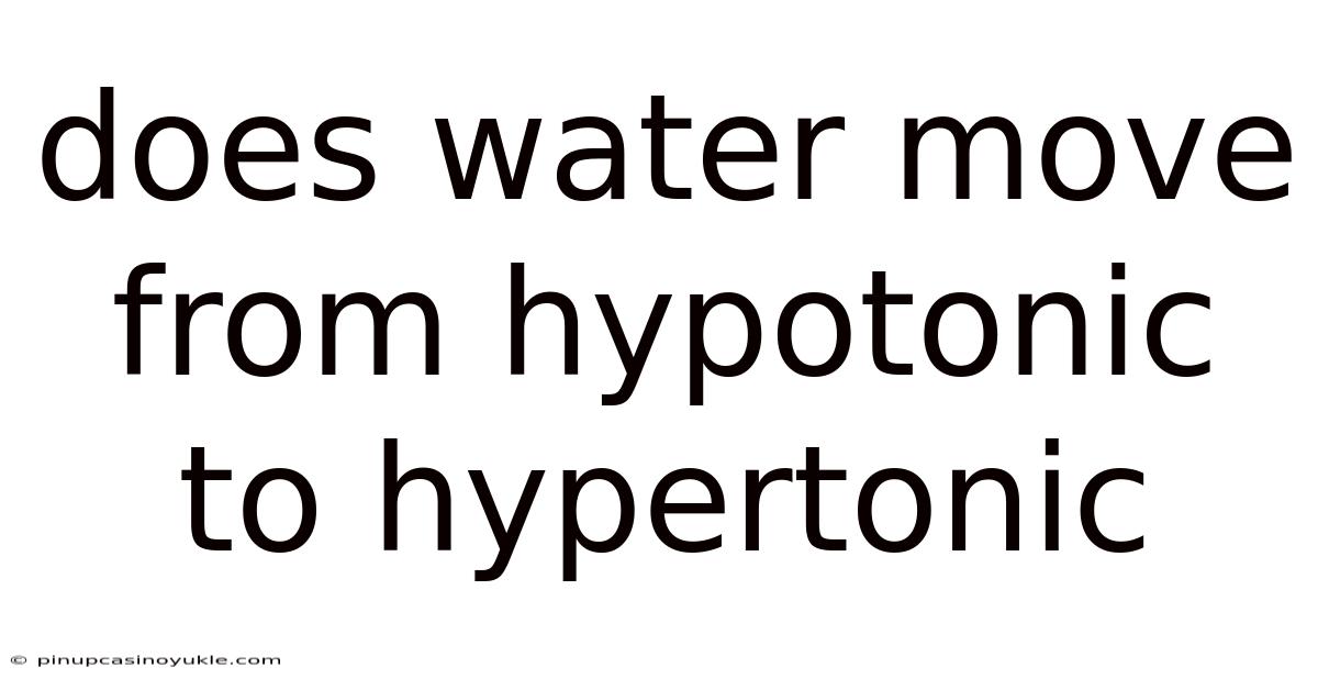 Does Water Move From Hypotonic To Hypertonic