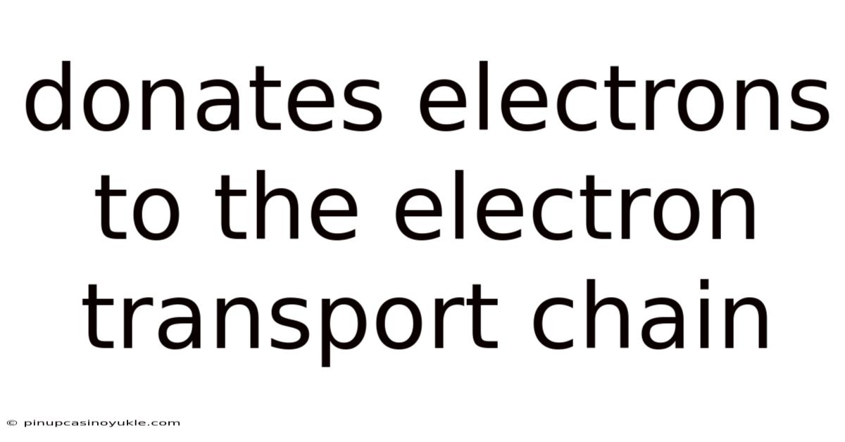 Donates Electrons To The Electron Transport Chain