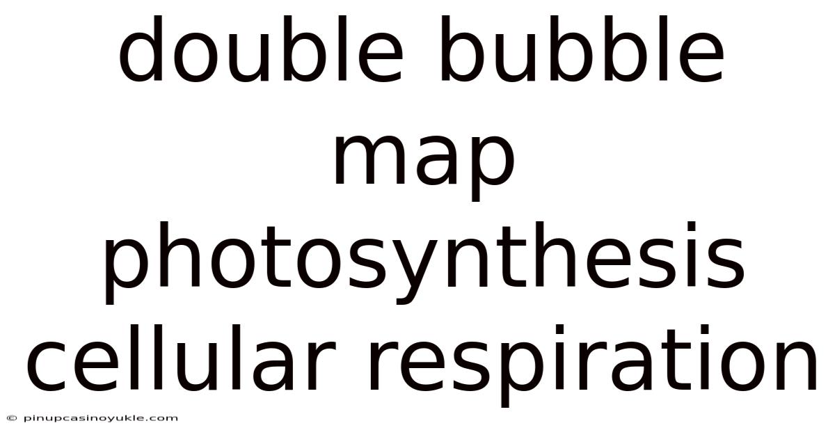 Double Bubble Map Photosynthesis Cellular Respiration