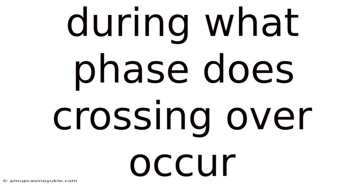During What Phase Does Crossing Over Occur