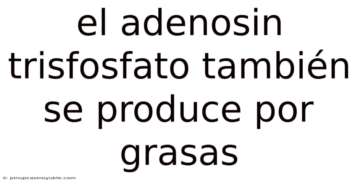 El Adenosin Trisfosfato También Se Produce Por Grasas