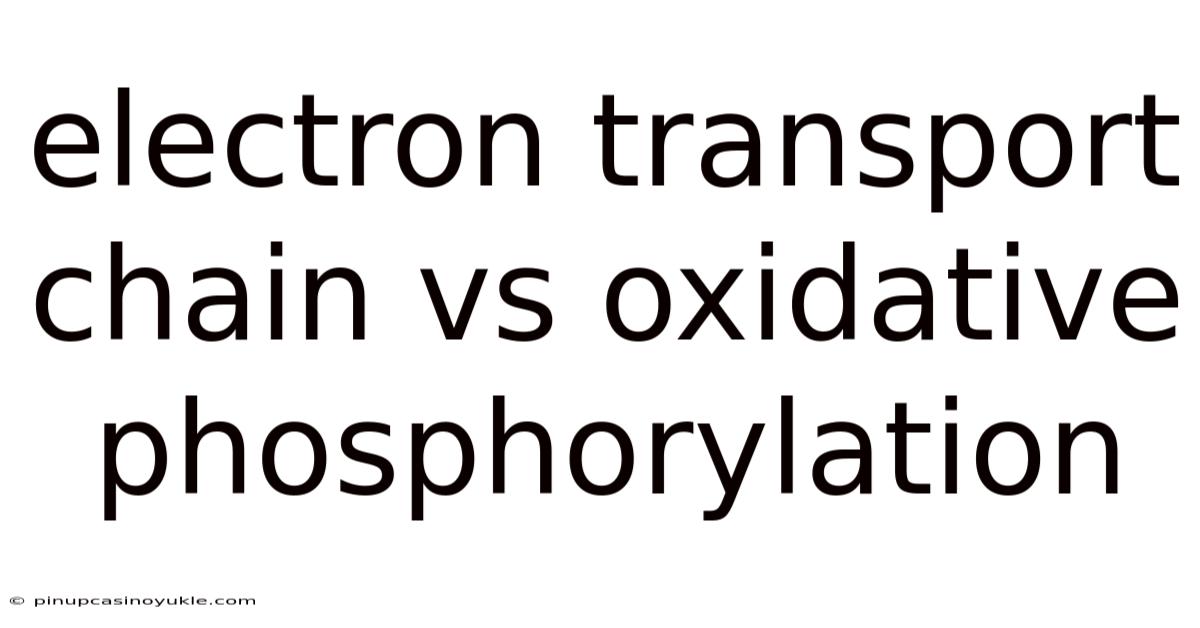Electron Transport Chain Vs Oxidative Phosphorylation