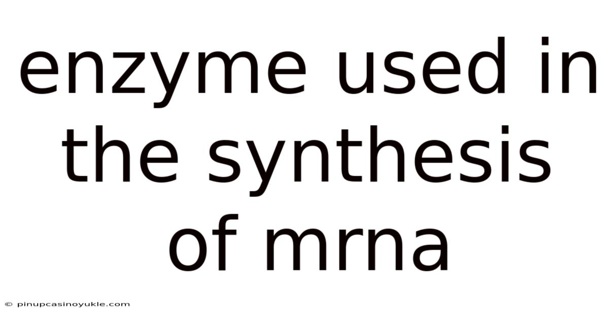 Enzyme Used In The Synthesis Of Mrna
