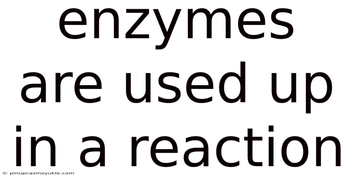 Enzymes Are Used Up In A Reaction