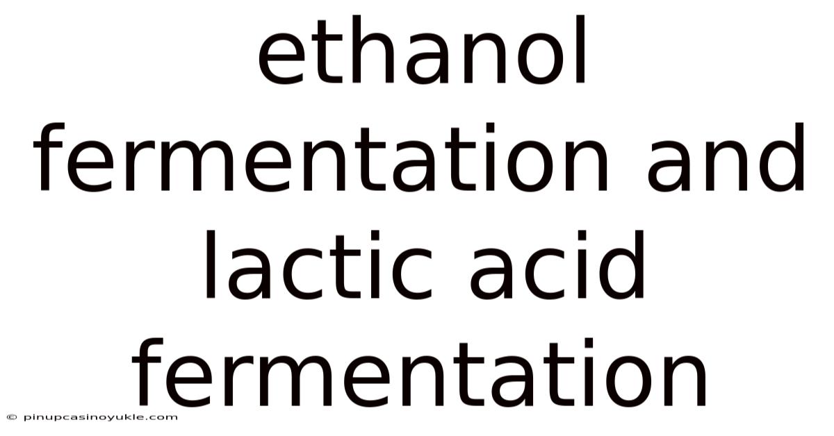 Ethanol Fermentation And Lactic Acid Fermentation