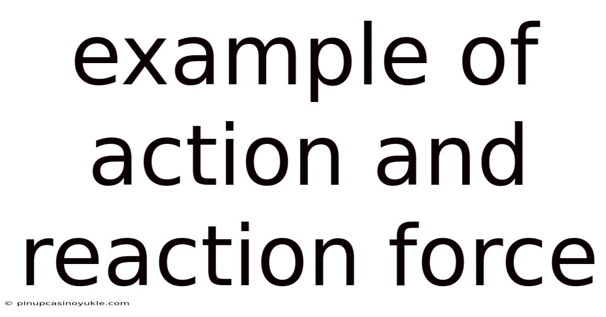Example Of Action And Reaction Force