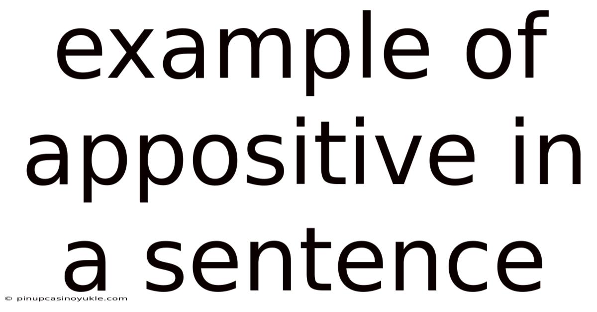 Example Of Appositive In A Sentence