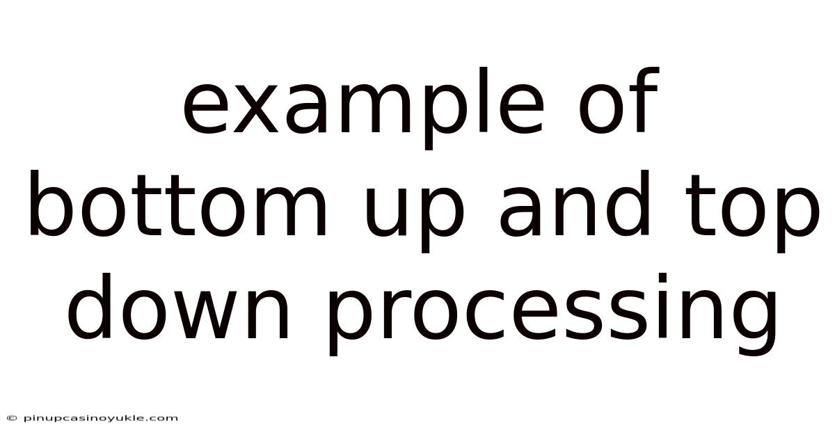 Example Of Bottom Up And Top Down Processing